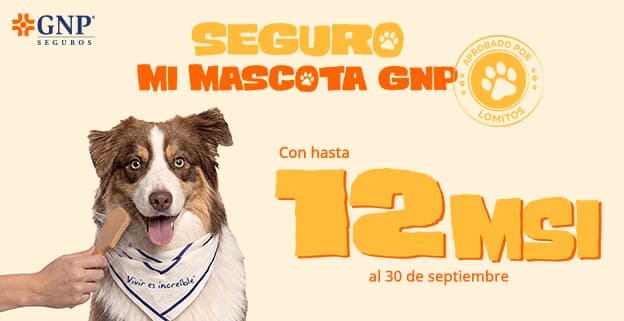 Promoción GNP: Seguro Mi Mascota con hasta 12 meses sin intereses, vigente al 30 de septiembre